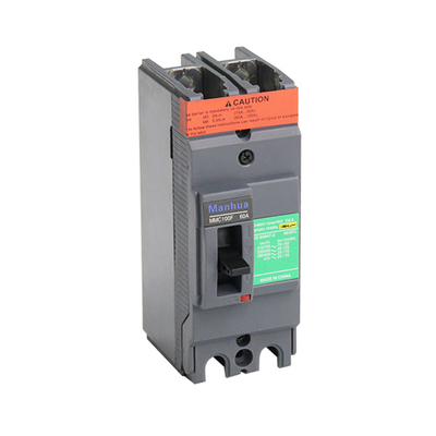 Double Phase MMC100N 60A 2P Breaking Capacity MCB Fix Air Adjustable Electronic Switch AC240V 25KA Molded Case Circuit Breaker 25KA